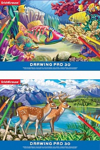 Альбом для рисования формата А4, 30 листов, клеевое скрепление (Erich Krause, 35163EK)